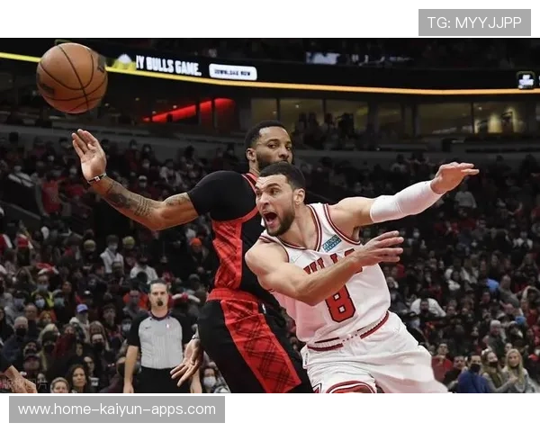 公牛靠武切维奇支点串联,整体进攻更加顺畅